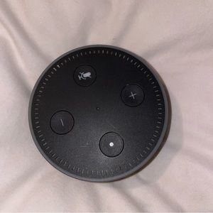 Echo Dot (2nd Gen) Black and works.